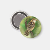 Little Sparrow Magned - Green Magneet (Voorkant / Achterkant)