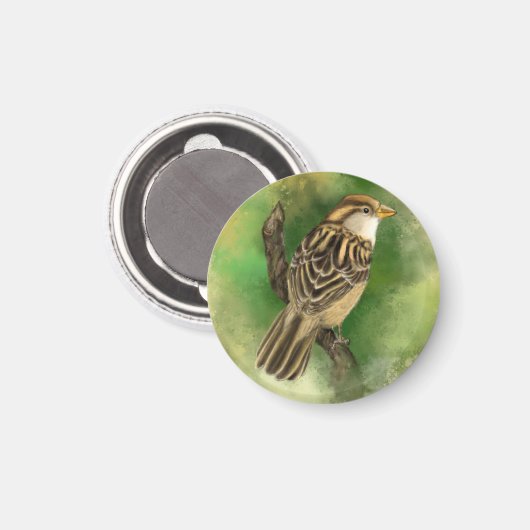 Little Sparrow Magned - Green Magneet (Voorkant / Achterkant)