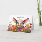 Little Sphynx Cat in the Flower Meadow - Birthday Kaart (Voorkant)
