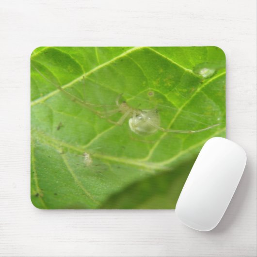 Little Spider Mousepad Muismat (Met muis)