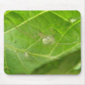 Little Spider Mousepad Muismat (Voorkant)