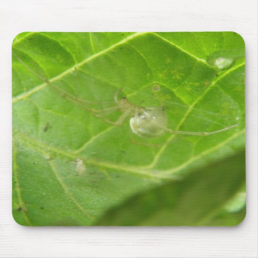 Little Spider Mousepad Muismat (Voorkant)