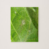 Little Spider Puzzle Legpuzzel (Verticaal)