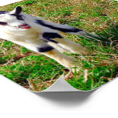 Little Spot Poster (Hoek)