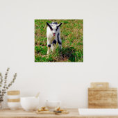 Little Spot Poster (Keuken)