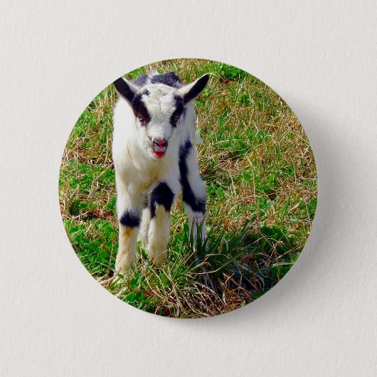 Little Spot Ronde Button 5,7 Cm (Voorkant)