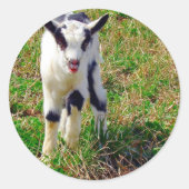 Little Spot Ronde Sticker (Voorkant)