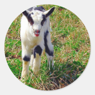 Little Spot Ronde Sticker