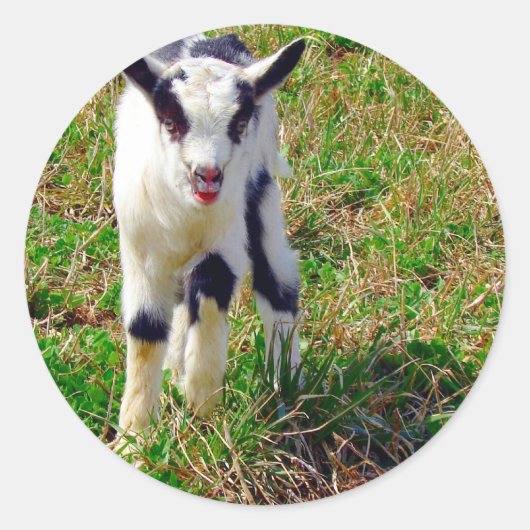 Little Spot Ronde Sticker (Voorkant)