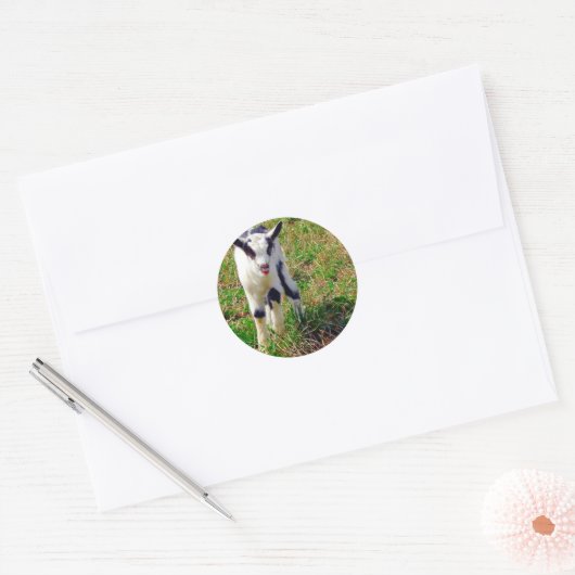 Little Spot Ronde Sticker (Envelop)