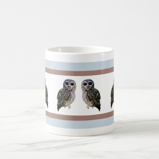 Little Spotted Owls Koffiemok (Center)