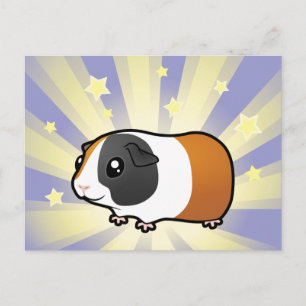 Little Star Guinee Pig (glad haar) Briefkaart