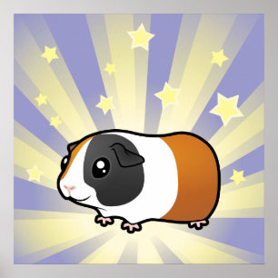 Little Star Guinee Pig (glad haar) Poster
