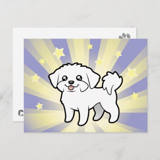 Little Star Maltese (puppy cut) Briefkaart (Voorkant / Achterkant)