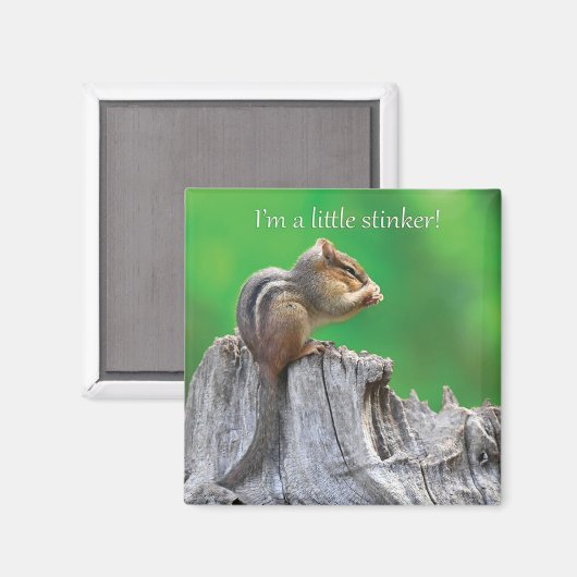 Little Stinker Magneet (Voorkant / Achterkant)