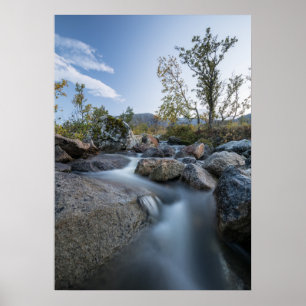 Little Stream Natuur foto Poster
