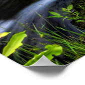 Little Stream Poster (Hoek)