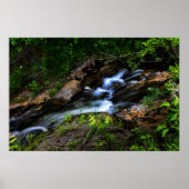 Little Stream Poster (Voorkant)