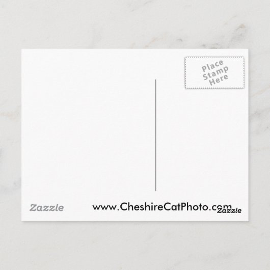 Little Sur River, Big Sur, Californië Briefkaart (Achterkant)