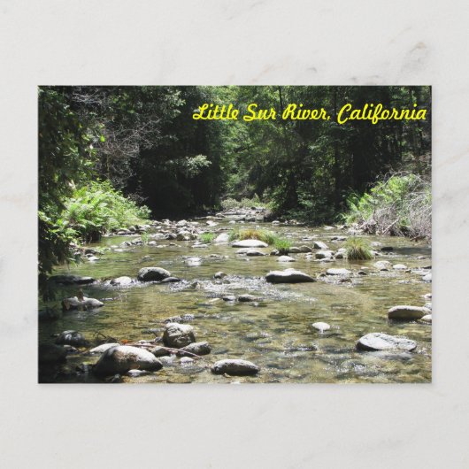 Little Sur River Briefkaart (Voorkant)