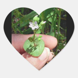 Little Things hartvormige sticker