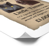 Little Timmi wilde poster (Hoek)