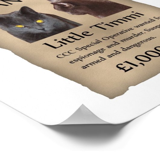 Little Timmi wilde poster (Hoek)