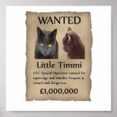 Little Timmi wilde poster (Voorkant)