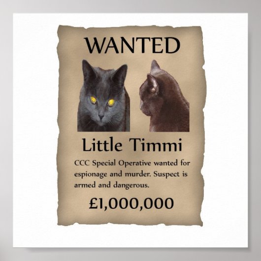 Little Timmi wilde poster (Voorkant)