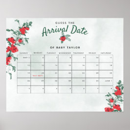 Little Tomato Rustic Girl Baby shower Guess Datum Poster