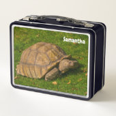 Little Tortoise Metal Lunchbox (Achterkant)