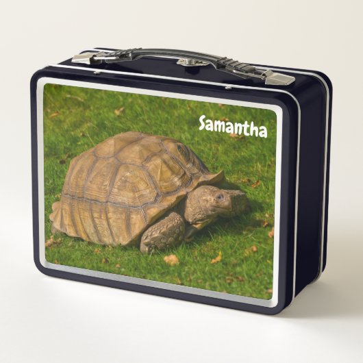 Little Tortoise Metal Lunchbox (Achterkant)