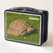 Little Tortoise Metal Lunchbox (Voorkant)