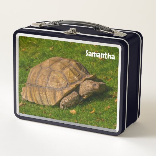 Little Tortoise Metal Lunchbox (Voorkant)
