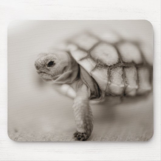 Little Tortoise Muismat (Voorkant)