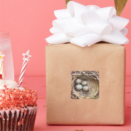 Little Treasures Bird Nest Eggs Foto Vierkante Sticker (Feest)