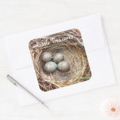 Little Treasures Bird Nest Eggs Foto Vierkante Sticker (Envelop)