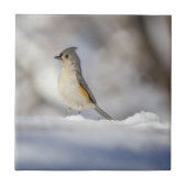 Little Tufted Titmouse in Snow Tegeltje (Voorkant)