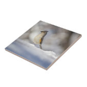 Little Tufted Titmouse in Snow Tegeltje (Zijkant)