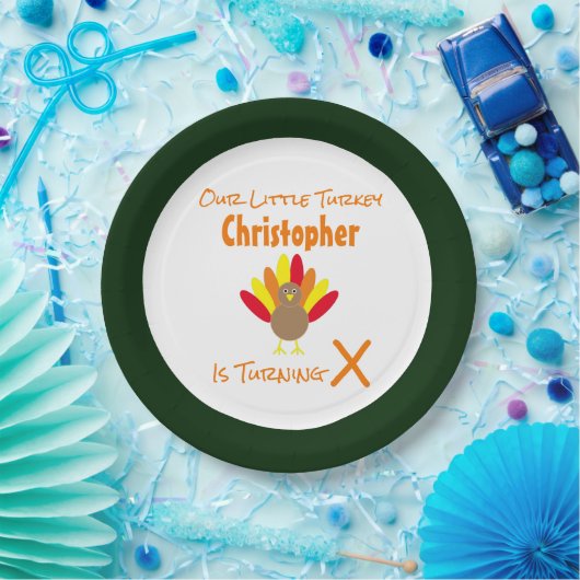 Little Turkey Birthday Papieren Bordje (Feest)