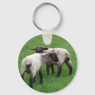 Little Twin Lambs Sleutelhanger