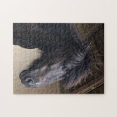 Little Viking Horse Noble Head Jigzaag Legpuzzel (Horizontaal)