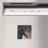 Little Viking Horse Noble Head Magnet (Insitu (Vaatwasser))