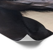 Little Viking Horse - Noble Head Poster (Hoek)