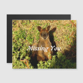 Little Wallaby (Voorkant / Achterkant)