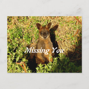Little Wallaby Briefkaart