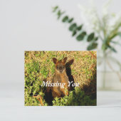 Little Wallaby Briefkaart (Staand voorkant)