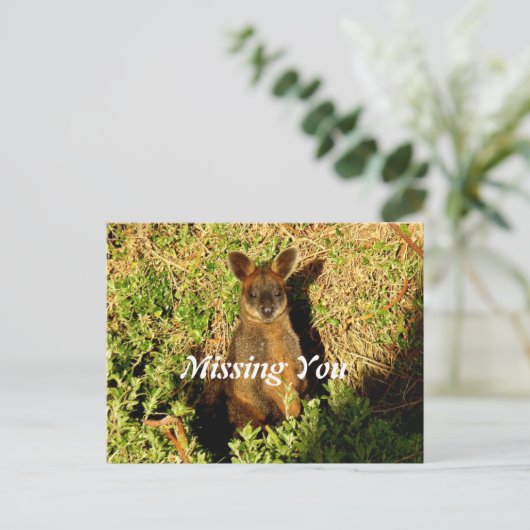 Little Wallaby Briefkaart (Staand voorkant)