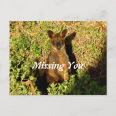 Little Wallaby Briefkaart (Voorkant)