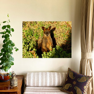 Little Wallaby Foto Afdruk